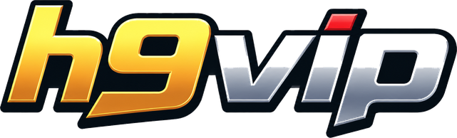h9vip Logo